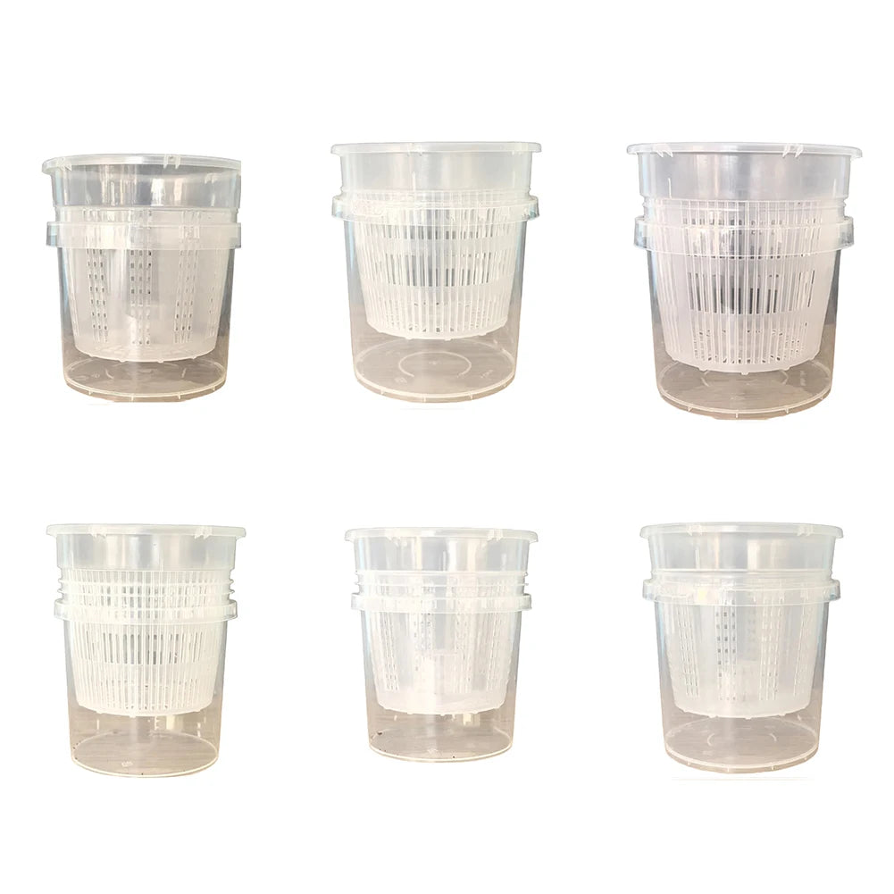 pots plante transparents plastique moderne grille drainage auto arrosage