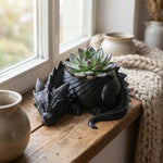 cache plantes dragon écaille opacité fantastique succulentes décoration noir blanc