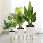 Jardinière sur pied jaune avec plante verte sur un bureau