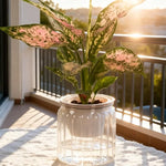 pot plante moderne transparent rayures vertes fleur intérieure minimaliste