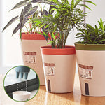 pots plante intérieure autoarrosants moderne plastique couleurs beige orange vert clair gris tailles