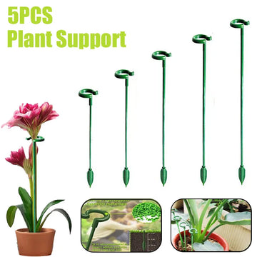 support plantes vert osier robuste 17cm 27cm 37cm 48cm 58cm escalade fleur vigne jardinage