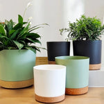 pots fleurs modernes plateau d'eau pièces transparents grains vert clair blanc noir