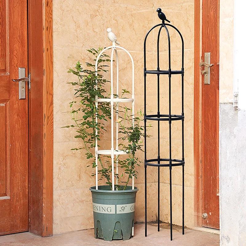 support plante grimpante structure circulaire plateaux horizontaux noir blanc moderne fonctionnel jardin fleur vigne