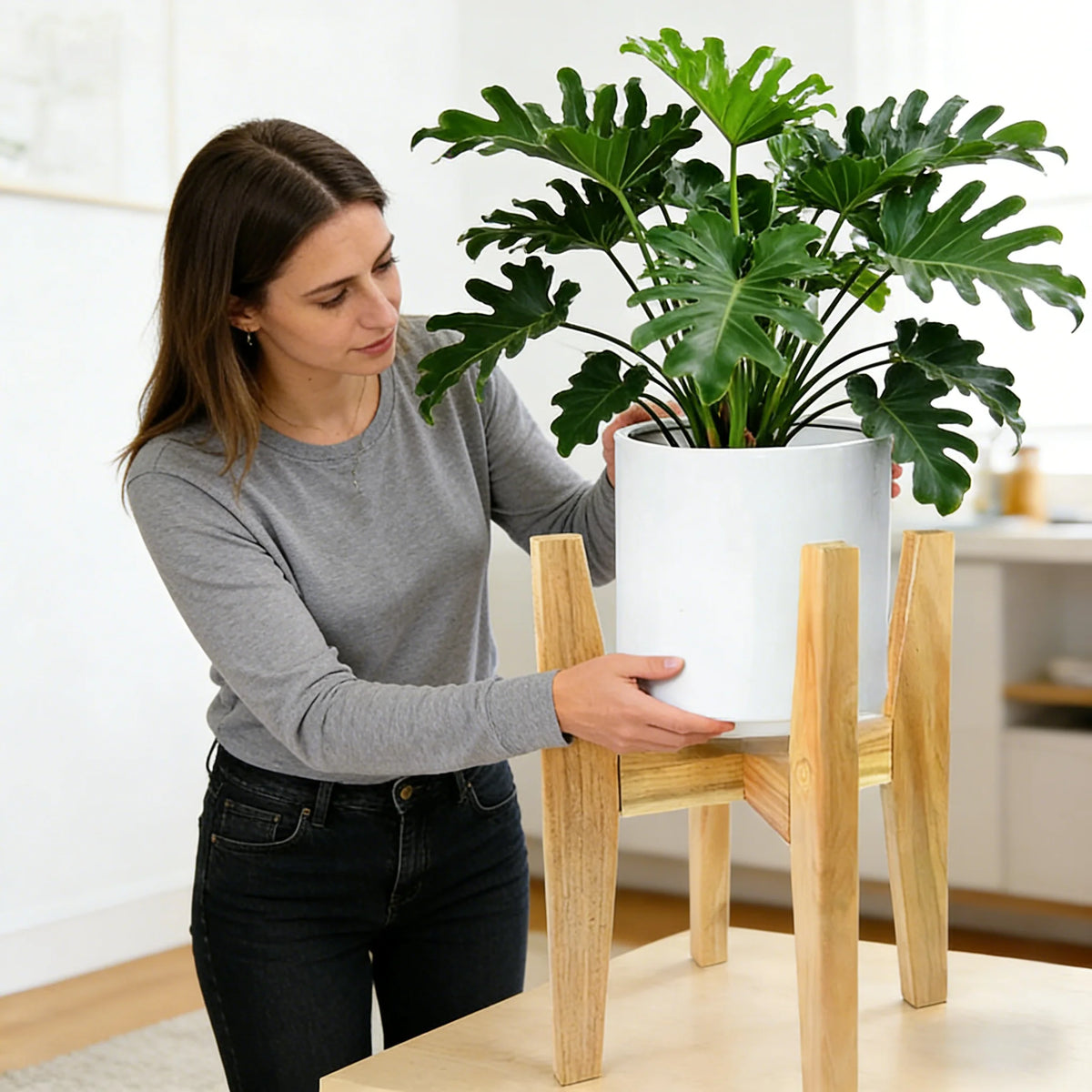 support extensible bois clair minimaliste modernes pots fleurs décoration intérieure réglable assemblage planches vis