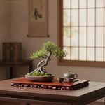base racine sculptée bois rouge foncé sculptures complexes classique simple élégant