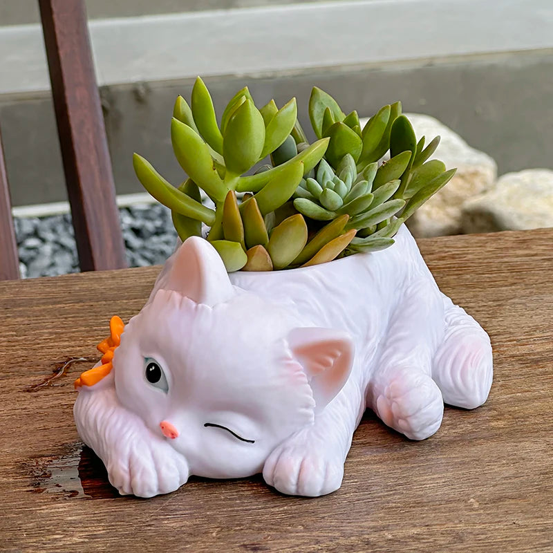 chat mignon pot succulentes plante verte deco maison balcon salon dessin animé