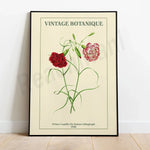 Affiche vintage botanique avec deux belles fleurs rouges et le texte "Vintage Botanique" sur un fond crème.