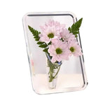 vase transparent moderne photo frame hydroponique minimaliste couleurs rose violet marron