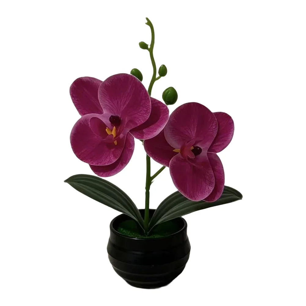 décoration intérieure orchidées artificielles violettes blanches vertes moderne pot noir