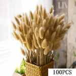 bouquet fleurs séchées eucalyptus roseau pampas beige blanc vert rustique décoration maison anniversaire mariage