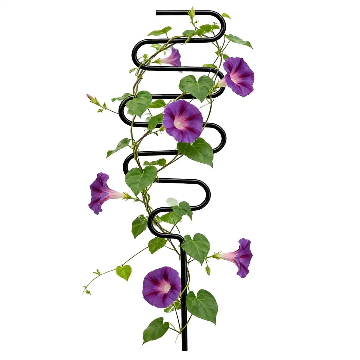 treillis métallique noir ondulé support plante grimpante jardin fleurs décoration extérieur