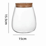 vase verre texturé moderne transparent couvercle liège décoration table hydroponie plantes