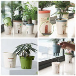 pot plante auto arrosant moderne hydroponique double couche drainage self wateringintérieur beige vertclair simple