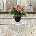 support plante métal blanc noir floral moderne élégant grille dimensions