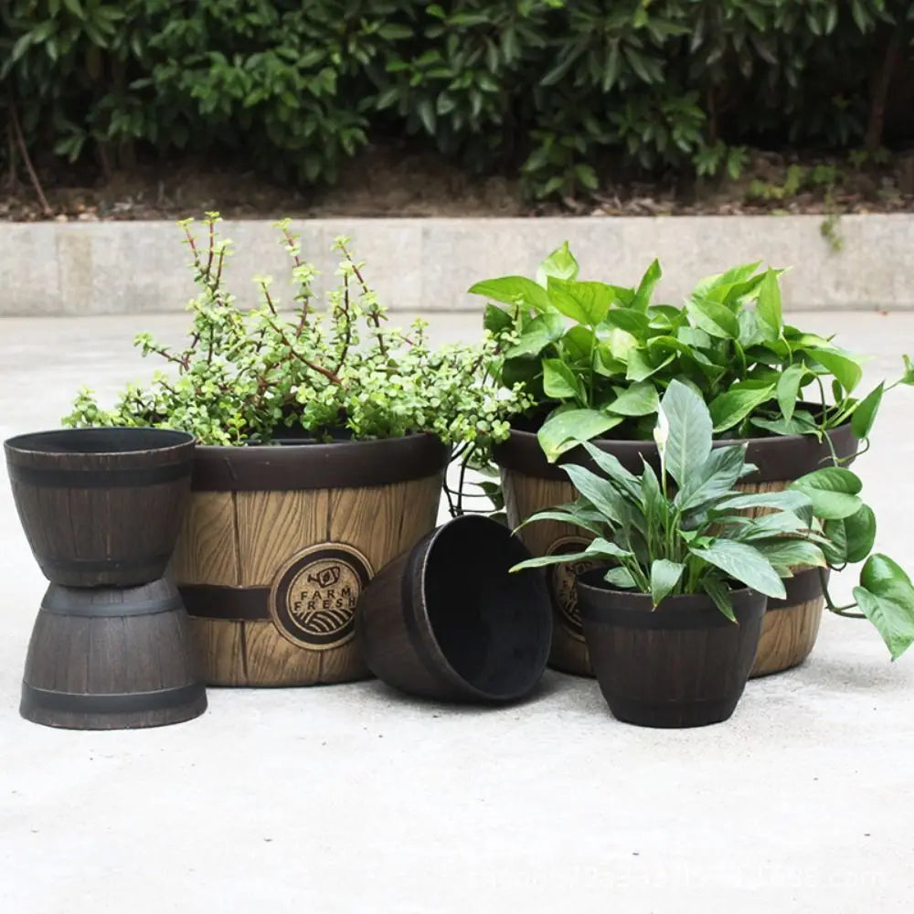 pots fleurs imitation bois rustique marron noir plantes vertes asparagus plumeux décoration intérieure bacs