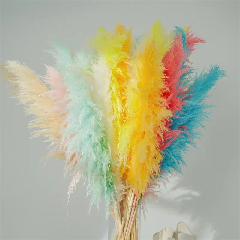 plume naturelle multicolore décoratif mariage fête intérieur décoration maison bohème naturel