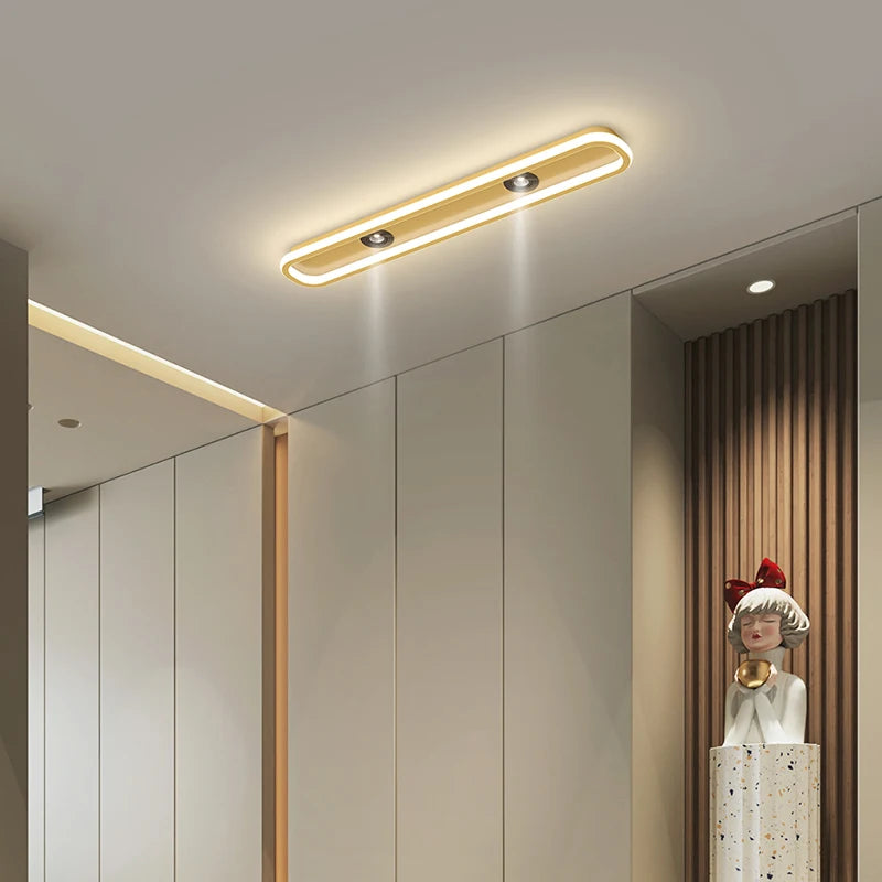 plafonnier led moderne ultra mince bande lumineuse chambre couloir blanc flux lumineux élevé télécommande