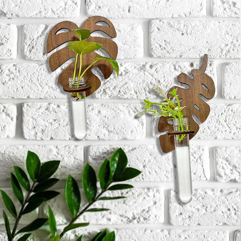 support mural plante feuille monstera verre transparent adhésif minimaliste moderneintérieur deco bois naturel