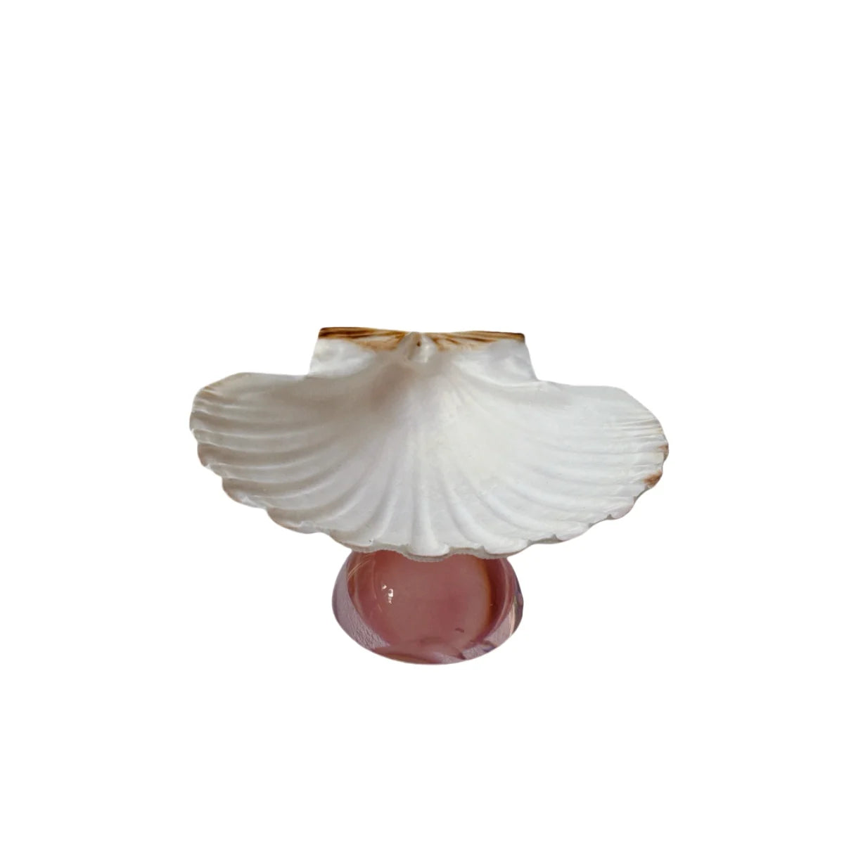 assiettes verre coquillages support fruits bijoux transparents naturels artisanal moderne