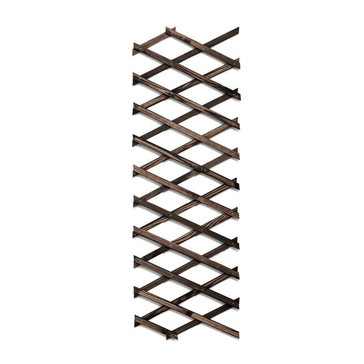 treillis bois rétractable marron foncé structure géométrique moderne fixation pliant verticalintérieur decoration plantes support