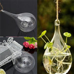vase suspendu moderne transparent sans décoration fleurs eau decoration mariage