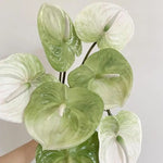 décoration intérieure fleurs artificielles rose verte feuilles modernes minimalistes chambre fête