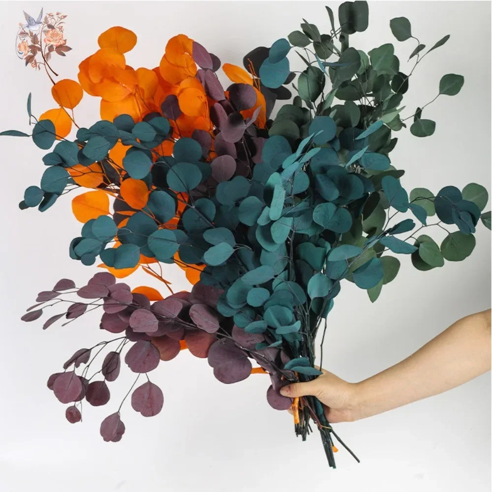 bouquet feuilles eucalyptus conservées 100g fleurs séchées naturelles verte violette ornement intérieur moderne minimaliste