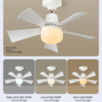 ventilateur moderne blanc led télécommande pales acrylique fixations
