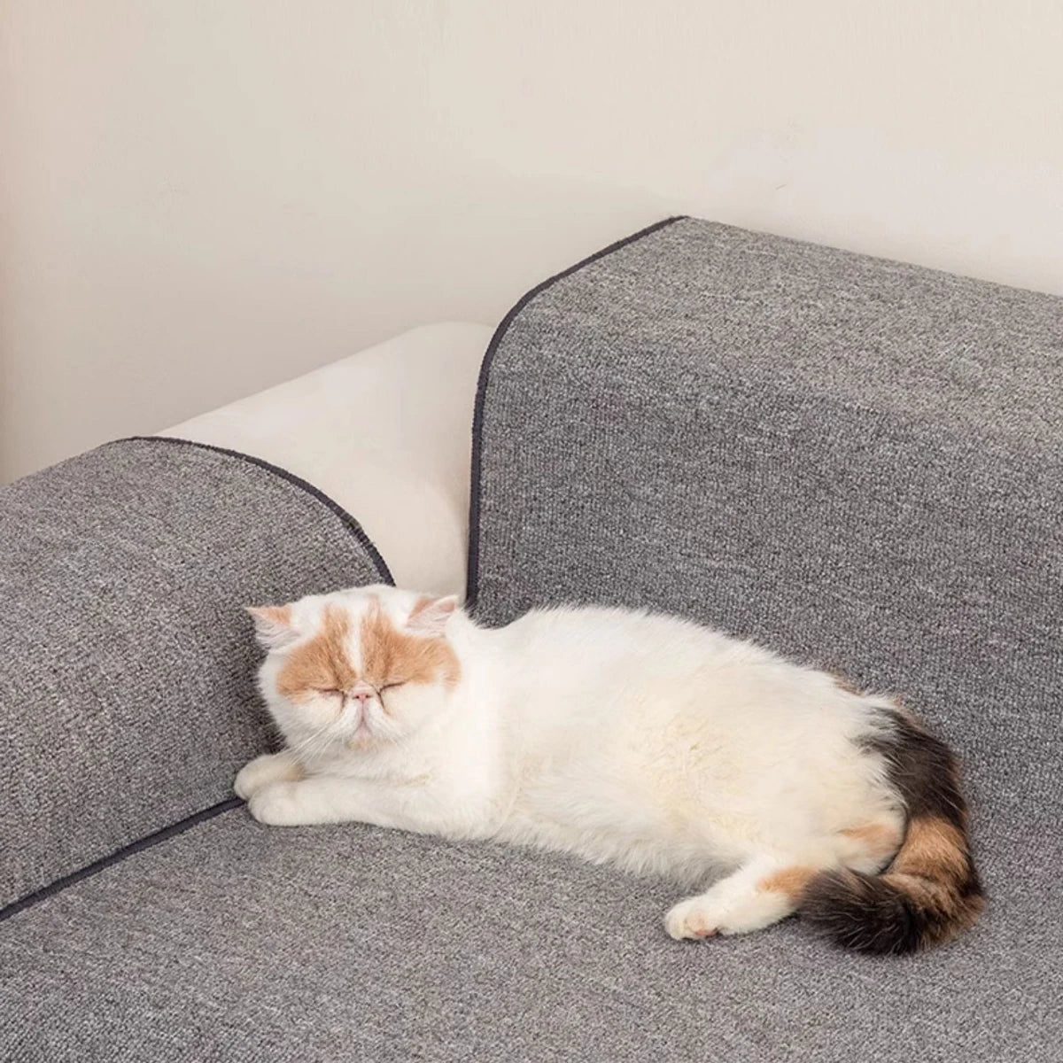 tapis antidérapant protection chat marron clair doux moderne adhésif 40 60cm 50 80cm 100