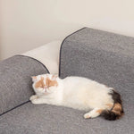 tapis antidérapant protection chat marron clair doux moderne adhésif 40 60cm 50 80cm 100