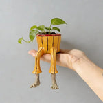 cache pots créatifs modernes motifs géométriques couleurs gris bleu blanc rouge jaune plantes intérieures
