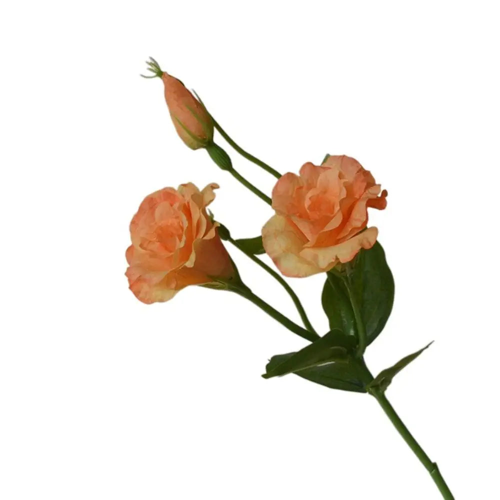 bouquet fleurs artificielles violet blanc rose orange décoration intérieure moderne minimaliste