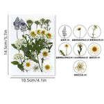 fleurs séchées violet bleu rose jaune naturelles décoration maison intérieur variés différents