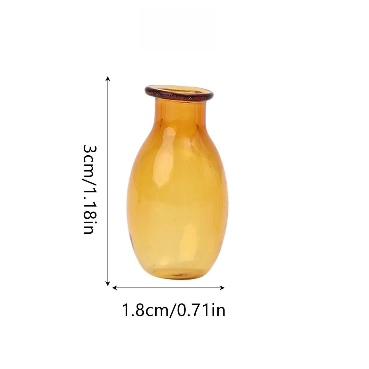 mini vase verre transparent décoration moderne petit pot fleurs micro paysage intérieur