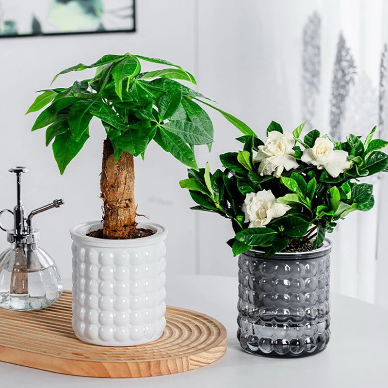 pots fleurs arrosage automatique transparents décoration intérieure moderne minimalistes plantes pot abstraits blanc gris