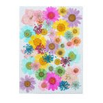 fleurs séchées multicolores variées naturelles scrapbooking décoration maison artisanat DIY