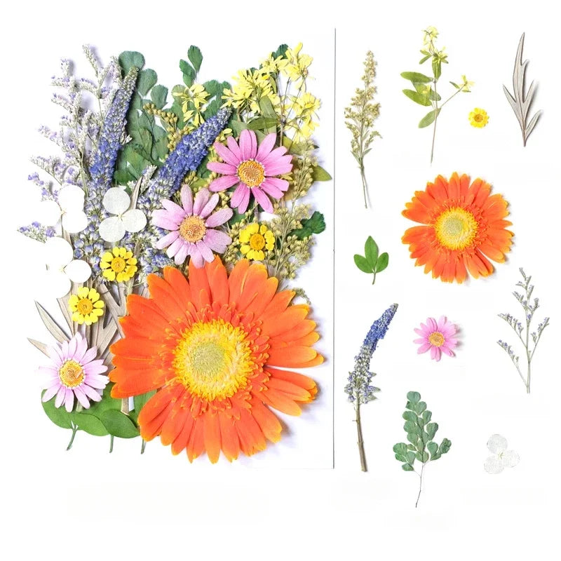 décoration intérieure bouquet fleurs séchées naturel rouge orange jaune bleu vert