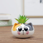 cache pot cartoon visage animé blanc rose jaune noir succulente décoration table adultes unisexe
