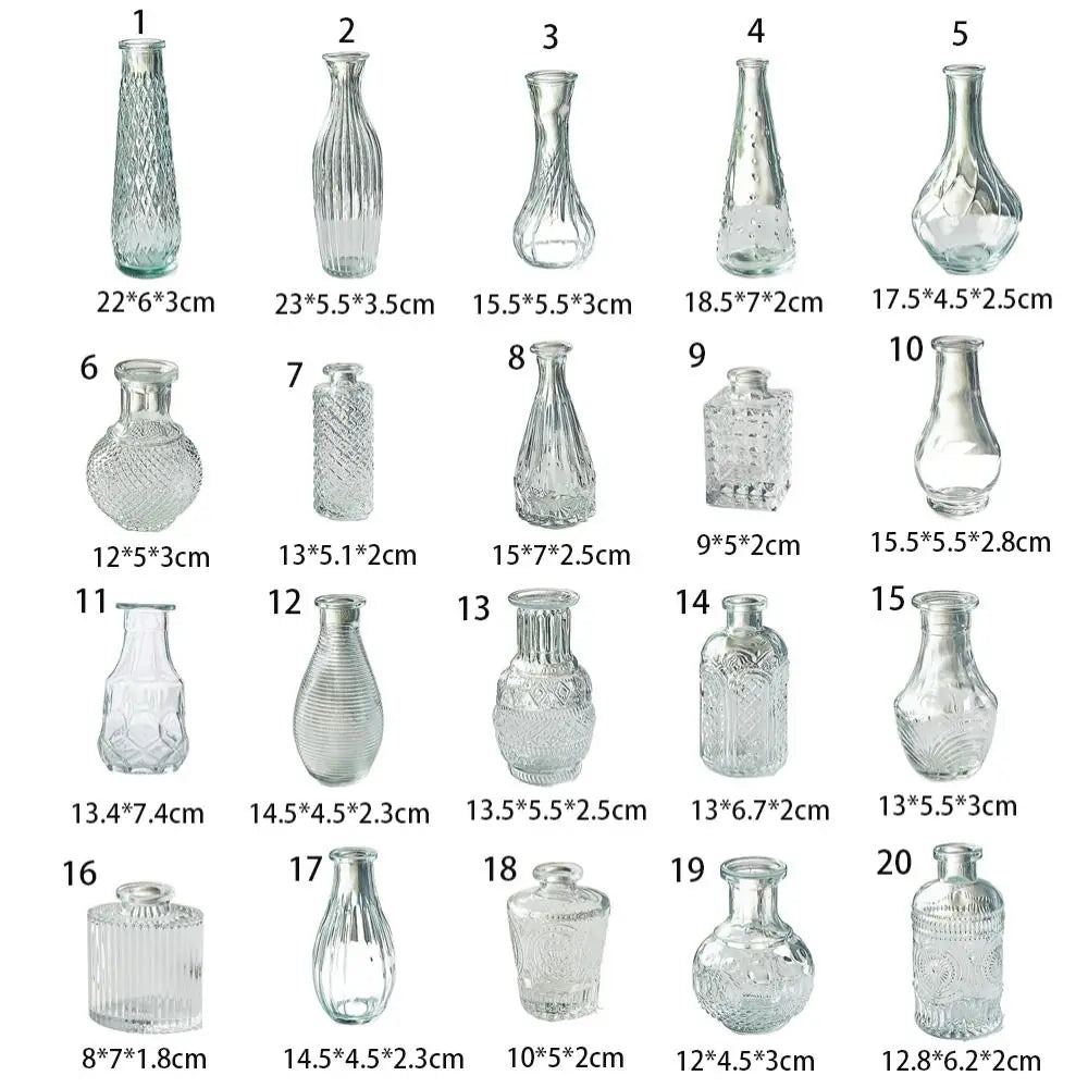 vase transparent gravé classique décoration intérieure plante hydroponique maison festive