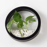 pot hydroponique mural moderne blanc noir rose bleu clair fixé mur transparent uni