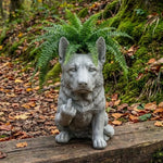 cache pot résine animal réaliste gris texture granuleuse plante verte cactus succulente maison jardin