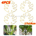 Support tiges plantes or spirale moderne fixations adhésives grandes plantes intérieures pothos philodendron monstera