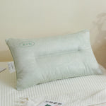oreiller coton vert clair moderne 30x50cm uni antibactérien lit chambre decoration