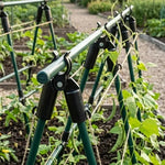 clips fixation plantes noir rainurés pragmatiques jardin clips tiges végétaux support grimpantes clips connecteurs