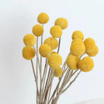 bouquet fleurs séchées boule dorée gypsophile eucalyptus feuilles naturel rustique décoration maison anniversaire wedding