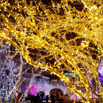 guirlande lumineuse led blanc chaud filament branché moderne décoration noël 3m 6m 100 leds
