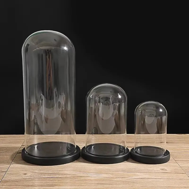 cloche verre transparente moderne 20cm diamètre base bois noire