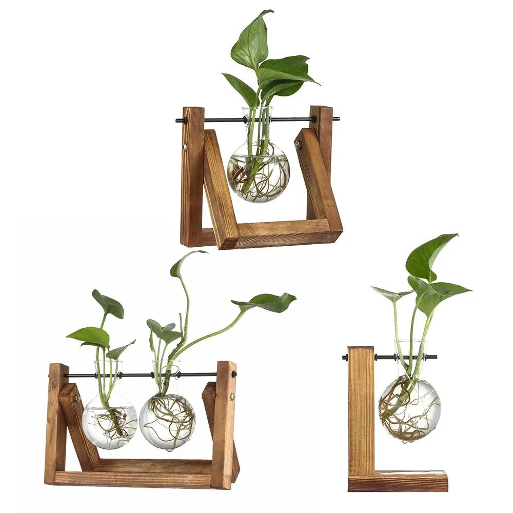 support plante verre transparent bois naturel clips métalliques moderne minimaliste plantes vertes racines visiblesDecorationBalcónPlantsHydroponie