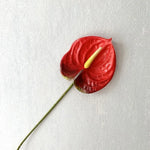 fleurs artificielles anthurium rouge vert rose blanches décoration moderne mariage intérieur decoration capitule plastique
